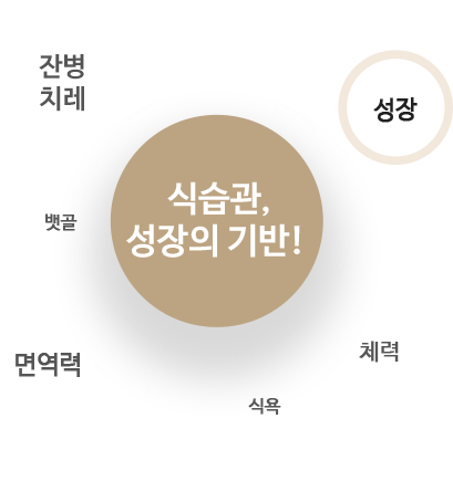 식습관, 성장의 기반! - 뱃골, 잔병치레, 면역력, 성장, 체력, 식욕