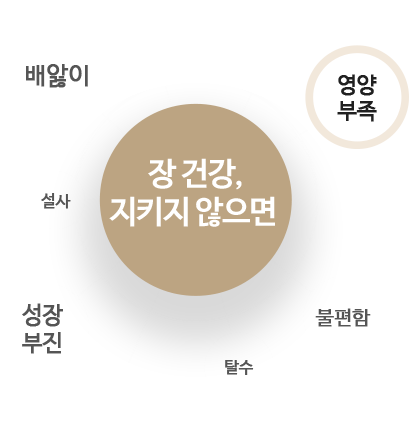 건강한 장을 위한 관리~ 호흡기, 면역력, 피부, 영양소 흡수, 기운, 성장