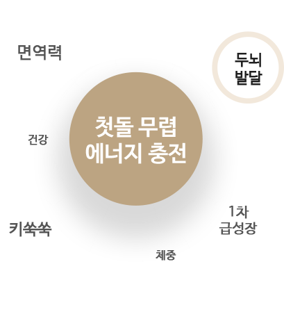 첫돌 무렵 에너지 충전 - 면역력, 두뇌발달, 건강, 키쑥쑥, 체중, 1차급성장 