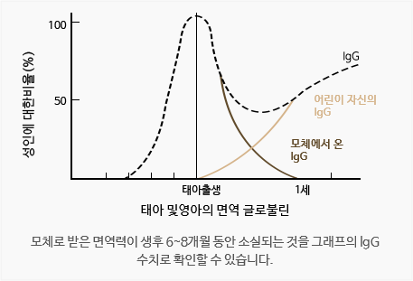 lgG 비율 그래프