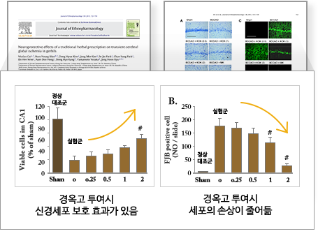 2012 국제학술지 Allergy 게재 내용 中